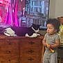 cat, toddler, child, furniture, wooden_dresser, television, indoor, toy, black_and_white_cat, curly_hair, striped_shirt, gray_pants, barefoot, living_room, floor, cabinet, relaxed, standing, home, curious