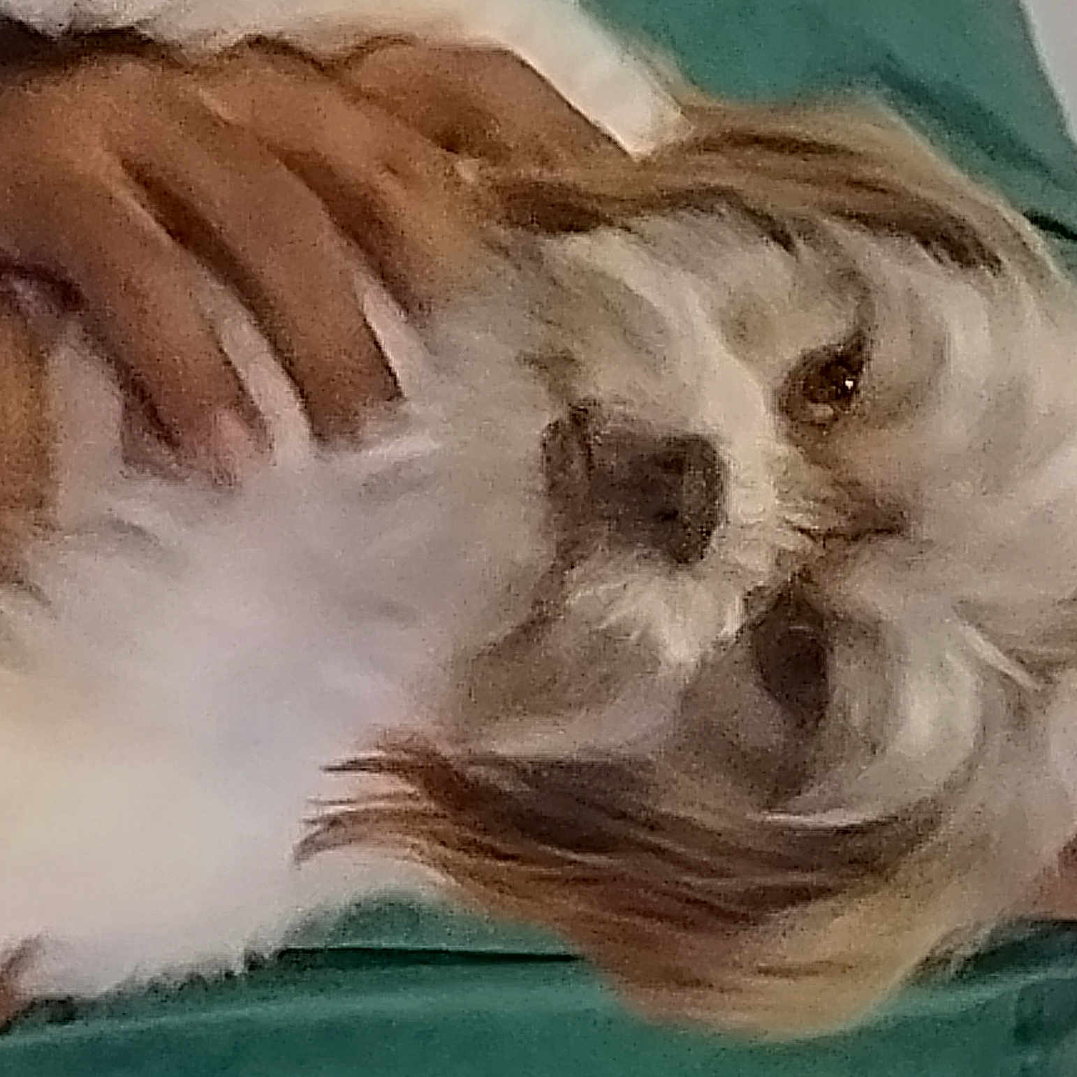 Moomoo is registered to the contest to win money with this photo: art, carnivore, cat, companion_dog, dog_breed, drawing, eyelash, fawn, felidae, fur, gesture, illustration, paint, painting, small_to_medium_sized_cats, snout, tail, visual_arts, whiskers, working_animal