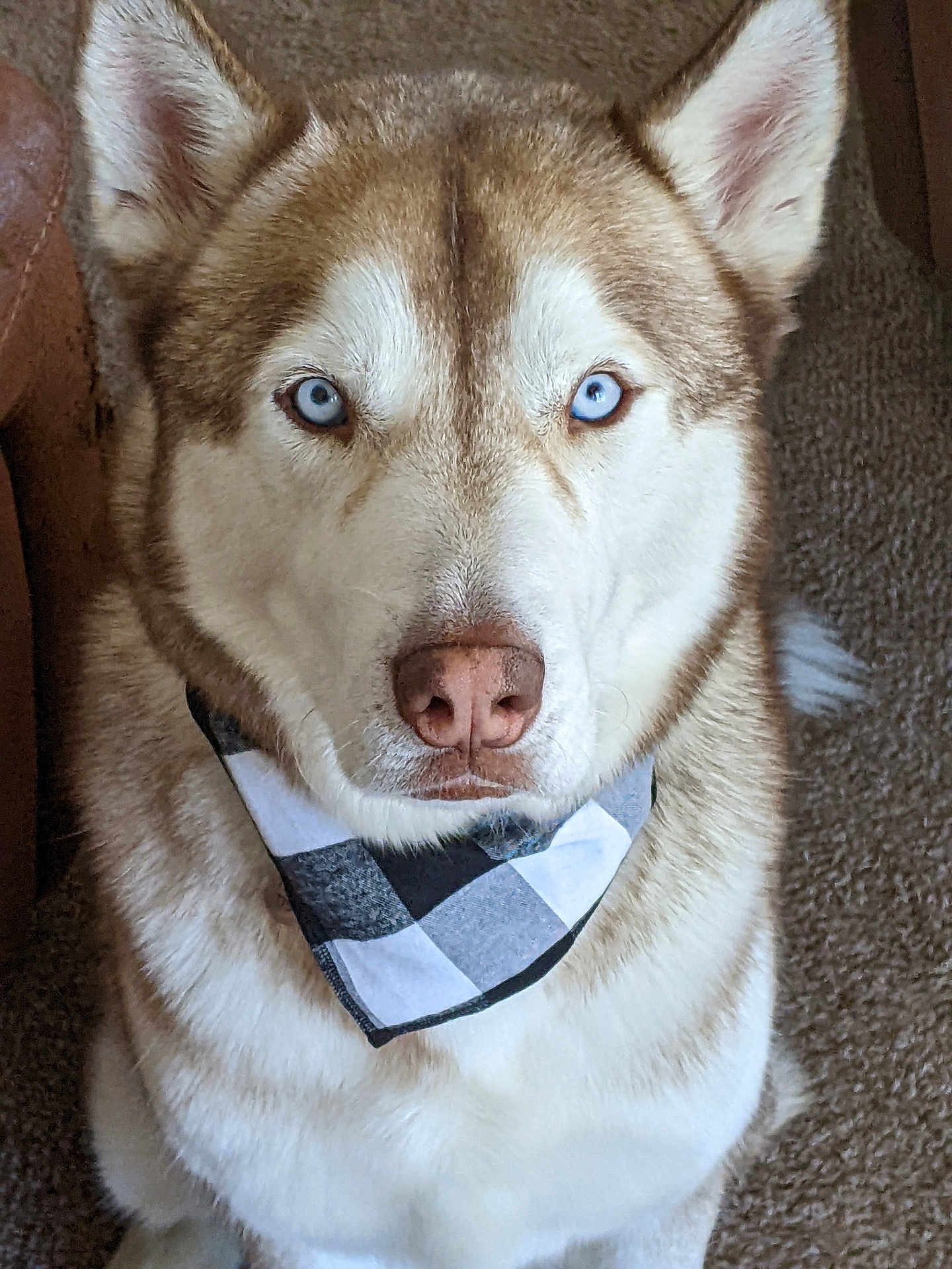 Jack