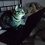 cat, tabby, laptop, bedroom, bed, blanket, computer, indoor, pet, animal, feline, keyboard, collar, technology, home, curious, focused, screen_light, resting, quiet