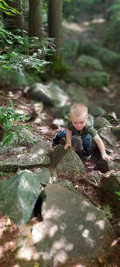 Adein is registered to the contest to win money with this photo: bedrock, body_of_water, forest, grass, groundcover, jungle, landscape, leaf, leisure, natural_environment, natural_landscape, people_in_nature, person, plant, recreation, terrestrial_plant, toddler, tree, trunk, wood