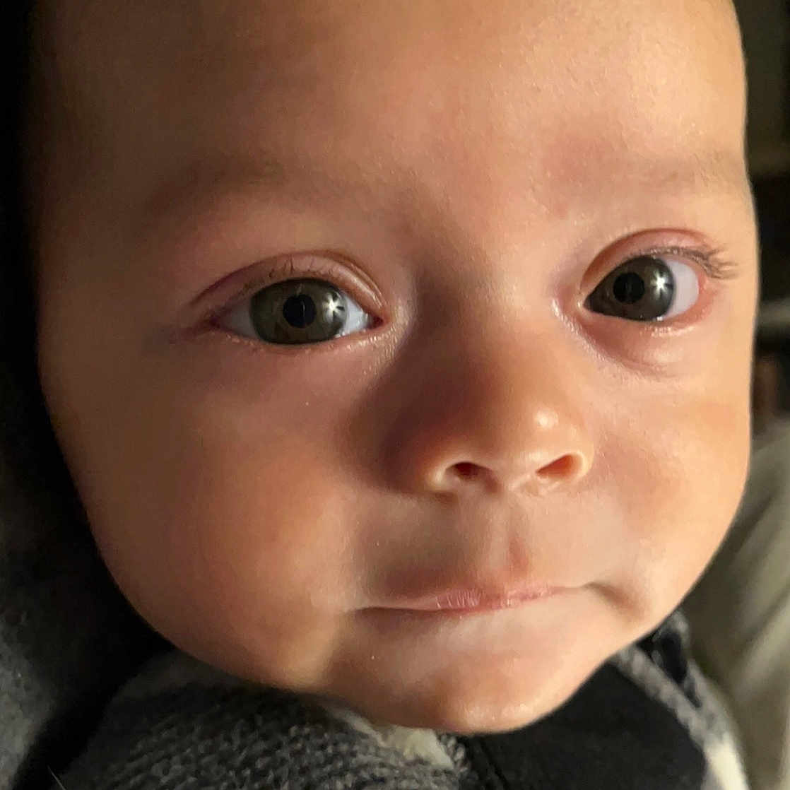 Castar joined the competition — help win amazing prizes! baby, baby_toddler_clothing, cheek, child, close_up, ear, eyebrow, eyelash, face, flash_photography, fur, head, iris, lip, mouth, no_expression, nose, skin, sleeve, toddler