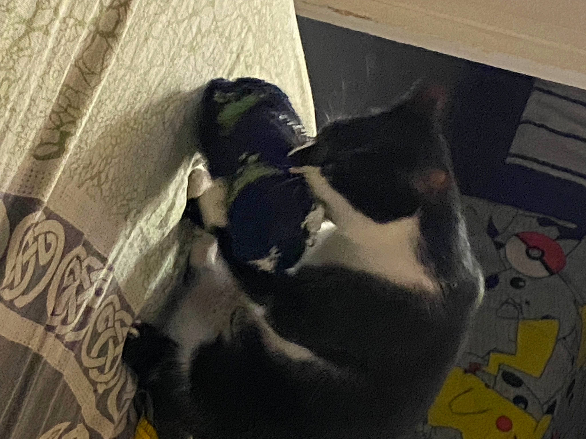 Muxu participe au concours pour gagner de l'argent avec cette photo : art, carmine, carnivore, cat, companion_dog, eyewear, felidae, flooring, font, fur, grey, paw, shadow, small_to_medium_sized_cats, tail, tints_and_shades, vision_care, visual_arts, whiskers, wood