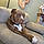 Buster Bama