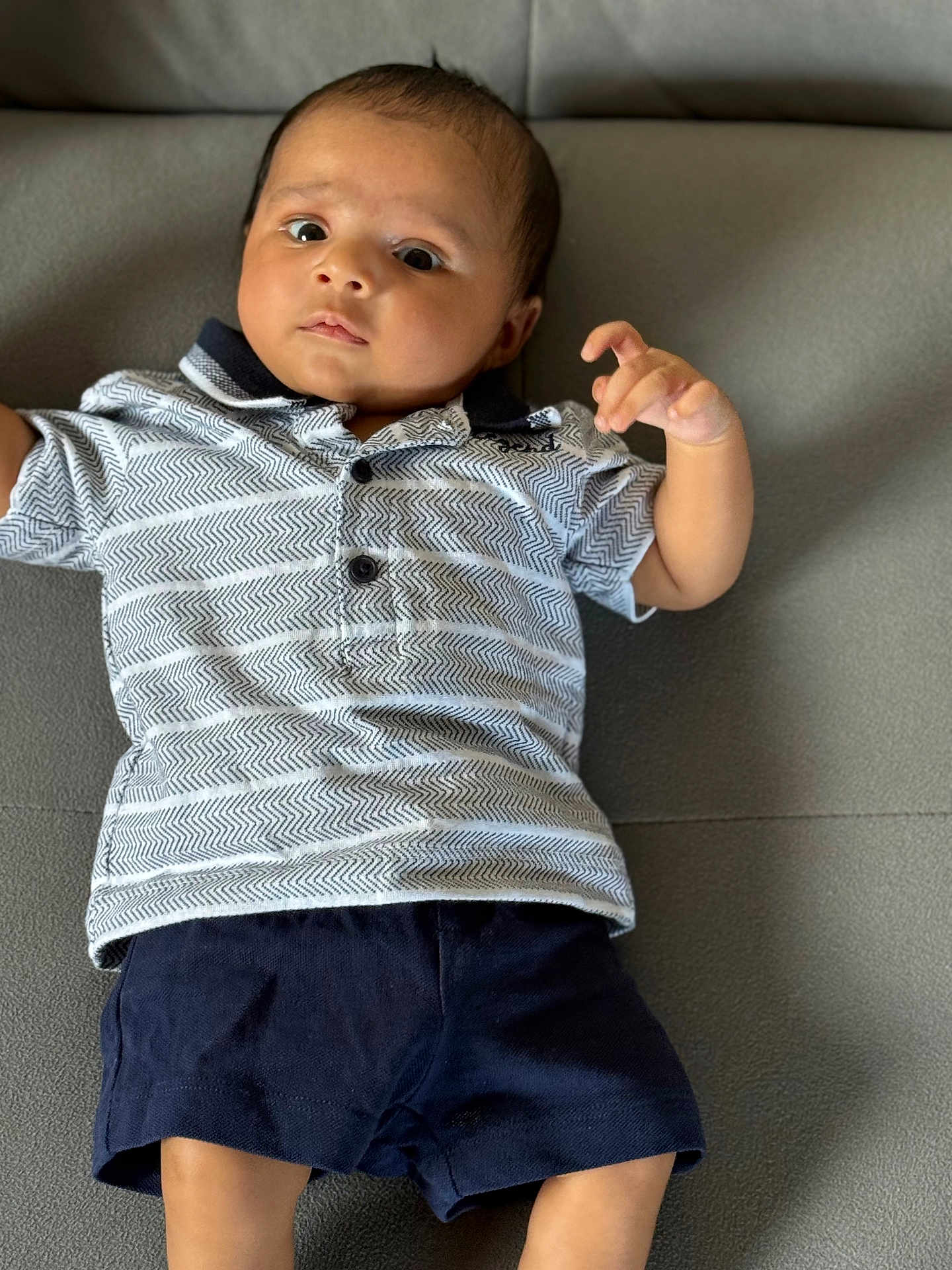 Gurfateh Singh joined the competition — help win amazing prizes! baby, child, infant, polo_shirt, shorts, couch, gray, patterned_clothing, indoor, portrait, person, young, face, skin, head, hands, legs, expression, casual, sitting
