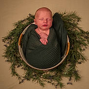 Clyde is registered to the contest to win money with this photo: newborn, baby, sleeping, basket, blanket, greenery, wreath, portrait, infant, wrapped, peaceful, cute, soft, head, hand, natural, decor, warm, resting, cozy