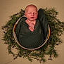 newborn, baby, sleeping, basket, blanket, greenery, wreath, portrait, infant, wrapped, peaceful, cute, soft, head, hand, natural, decor, warm, resting, cozy