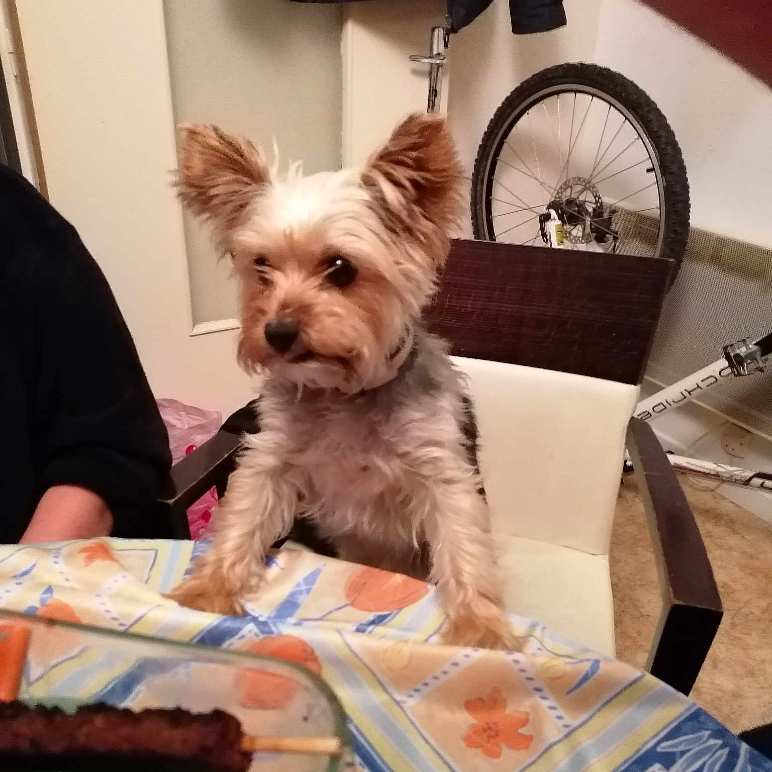 Winnie