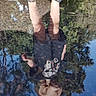 Lucie is registered to the contest to win money with this photo: child, reflection, water, outdoor, upside_down, face, legs, shoes, crocs, clothing, shorts, pool, pond, trees, sky, ripples, nature, portrait, playful, photography