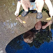 Lucie is registered to the contest to win money with this photo: child, toddler, outdoor, puddle, reflection, water, leaves, autumn, crouching, exploring, shallow_water, shoes, blond_hair, black_shirt, playful, nature, ground, daylight, photography, portrait