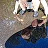 child, toddler, outdoor, puddle, reflection, water, leaves, autumn, crouching, exploring, shallow_water, shoes, blond_hair, black_shirt, playful, nature, ground, daylight, photography, portrait