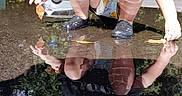Lucie joined the competition — help win amazing prizes! child, toddler, outdoor, puddle, reflection, water, leaves, nature, parked_car, trees, sunlight, crouching, exploring, black_clogs, shorts, t_shirt, blond_hair, face, splashing, photography