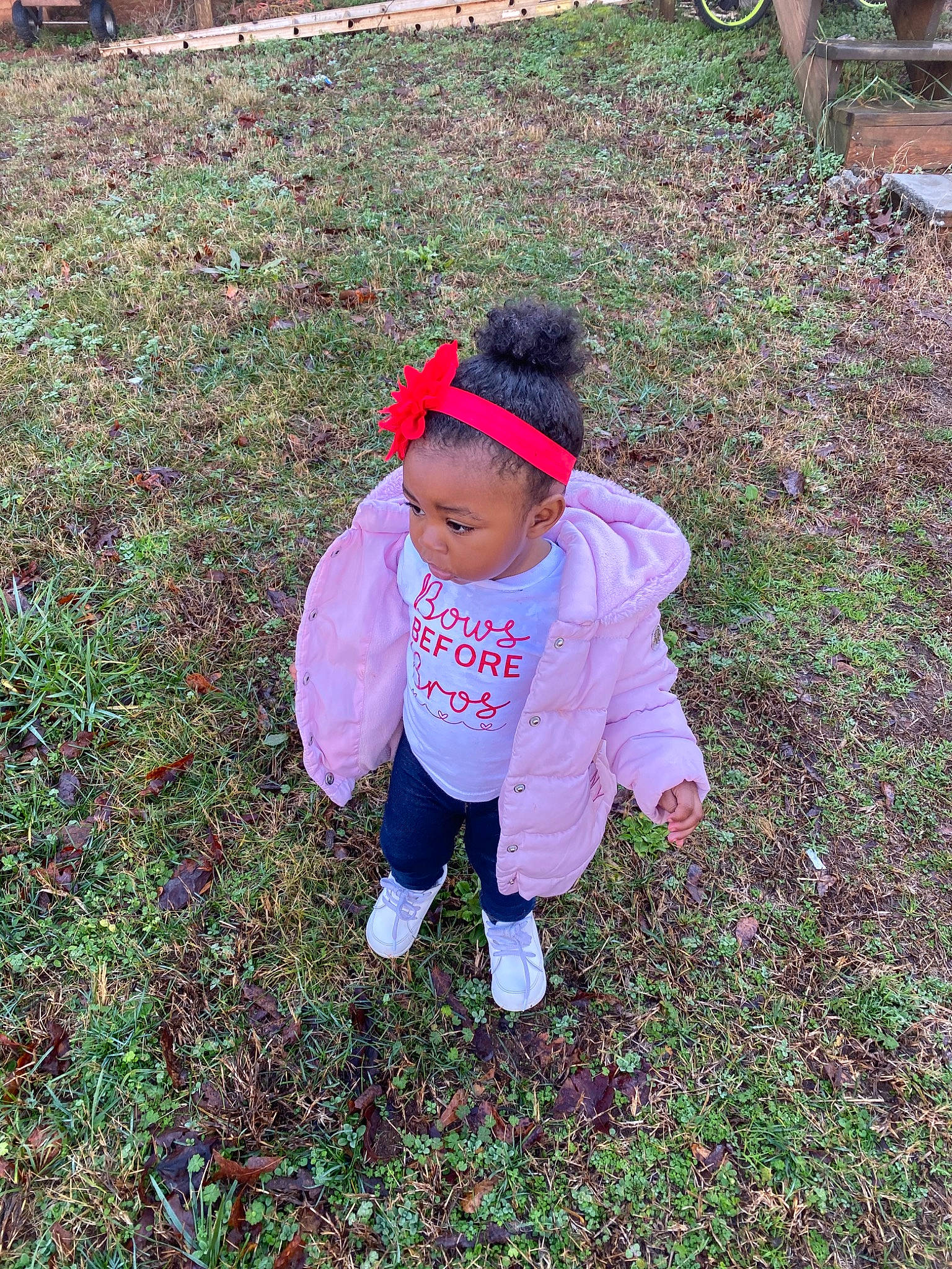 Nola joined the competition — help win amazing prizes! adaptation, child, fun, garden, grass, lawn, leaf, person, plant, play, smile, soil, toddler, tree