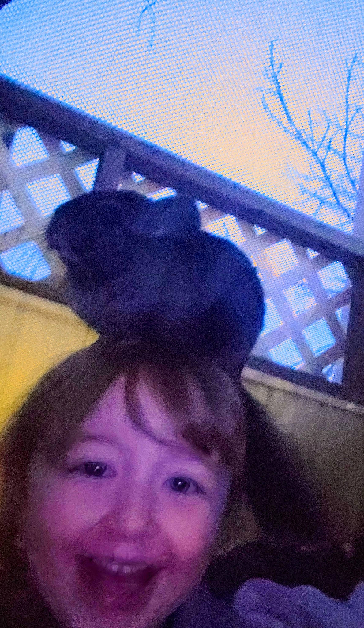 Willow joined the competition — help win amazing prizes! baby, black_hair, electric_blue, eyelash, fun, fur, grass, happy, joy, leisure, mammal, mesh, person, selfie, sky, smile, square, toddler