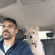 Wilou participe au concours pour gagner de l'argent avec cette photo : man, dog, car, seatbelt, interior, window, collar, fur, beard, short_hair, casual_clothing, daylight, vehicle, headrest, seat, passenger, portrait, looking_away, pet, travel