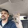 man, dog, car, seatbelt, interior, window, collar, fur, beard, short_hair, casual_clothing, daylight, vehicle, headrest, seat, passenger, portrait, looking_away, pet, travel