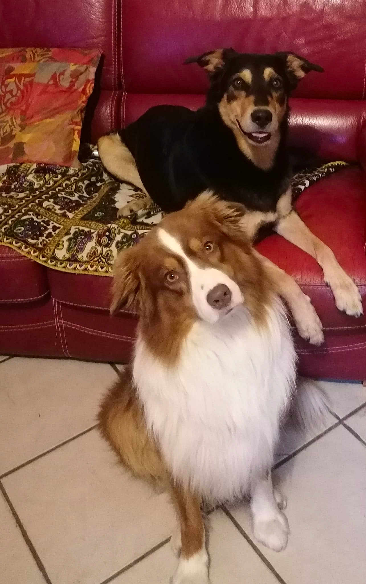 Loki