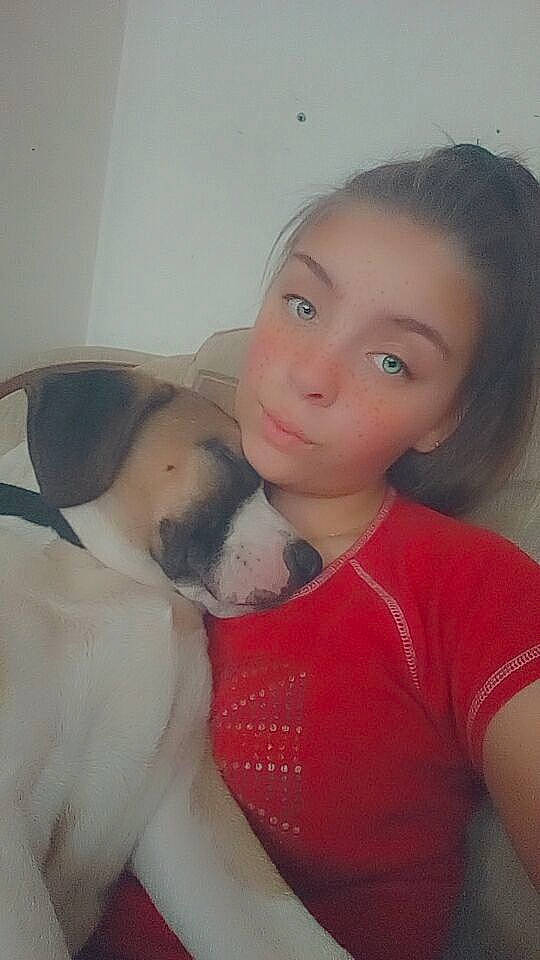 Boomer participe au concours pour gagner de l'argent avec cette photo : canidae, carnivore, cheek, child, companion_dog, dog, dog_breed, ear, face, fawn, head, non_sporting_group, nose, pit_bull, puppy, puppy_love, skin