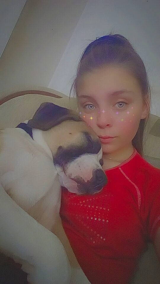 Boomer a rejoint le concours — aidez-le/la à gagner de superbes lots ! canidae, cheek, child, face, fawn, head, nose, selfie, skin