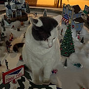 Holly is registered to the contest to win money with this photo: cat, miniature_village, winter_scene, toy_houses, christmas_tree, figurines, indoor, decorations, white_cat, black_and_white_cat, snow_effect, tabletop, holiday, cozy, pet, curious, small_toys, lighting, scene, background