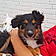 Louna