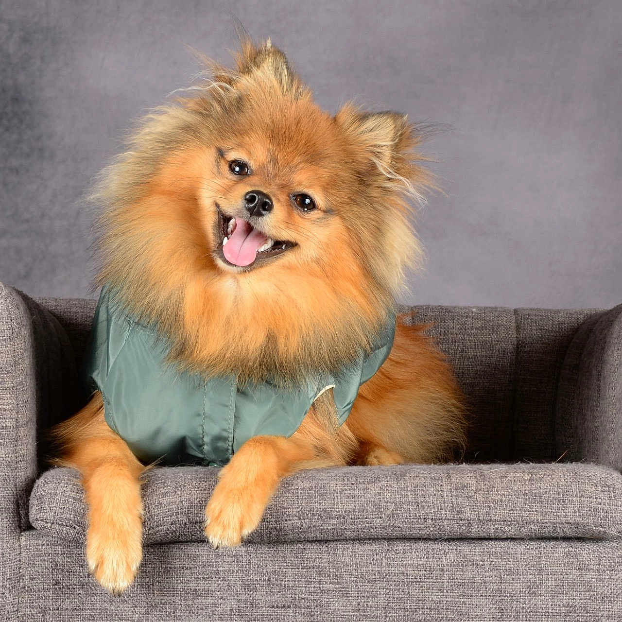 Milo