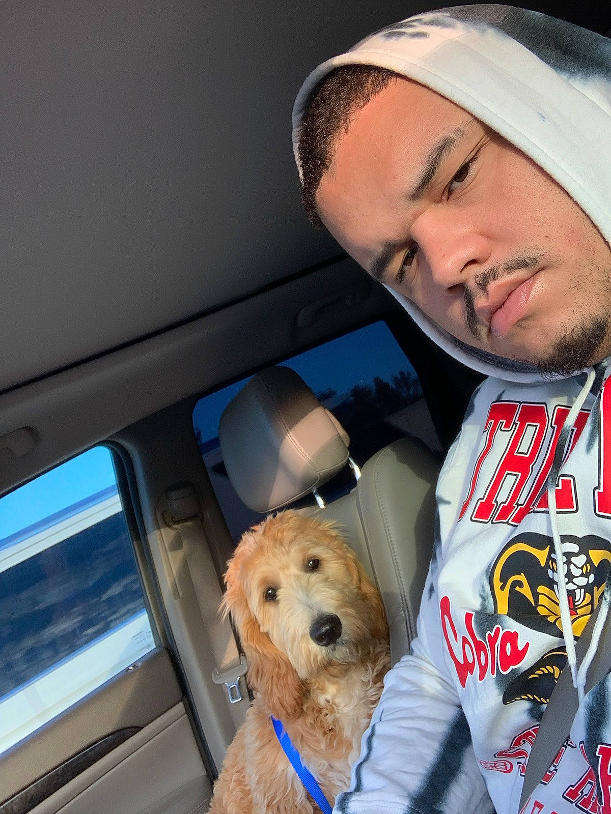 Dino joined the competition — help win amazing prizes! automotive_exterior, beard, canidae, cap, car, car_seat, carnivore, companion_dog, dog, dog_breed, eyewear, family_car, fawn, fur, selfie, snout, sporting_group, stuffed_toy, toy, vehicle_door