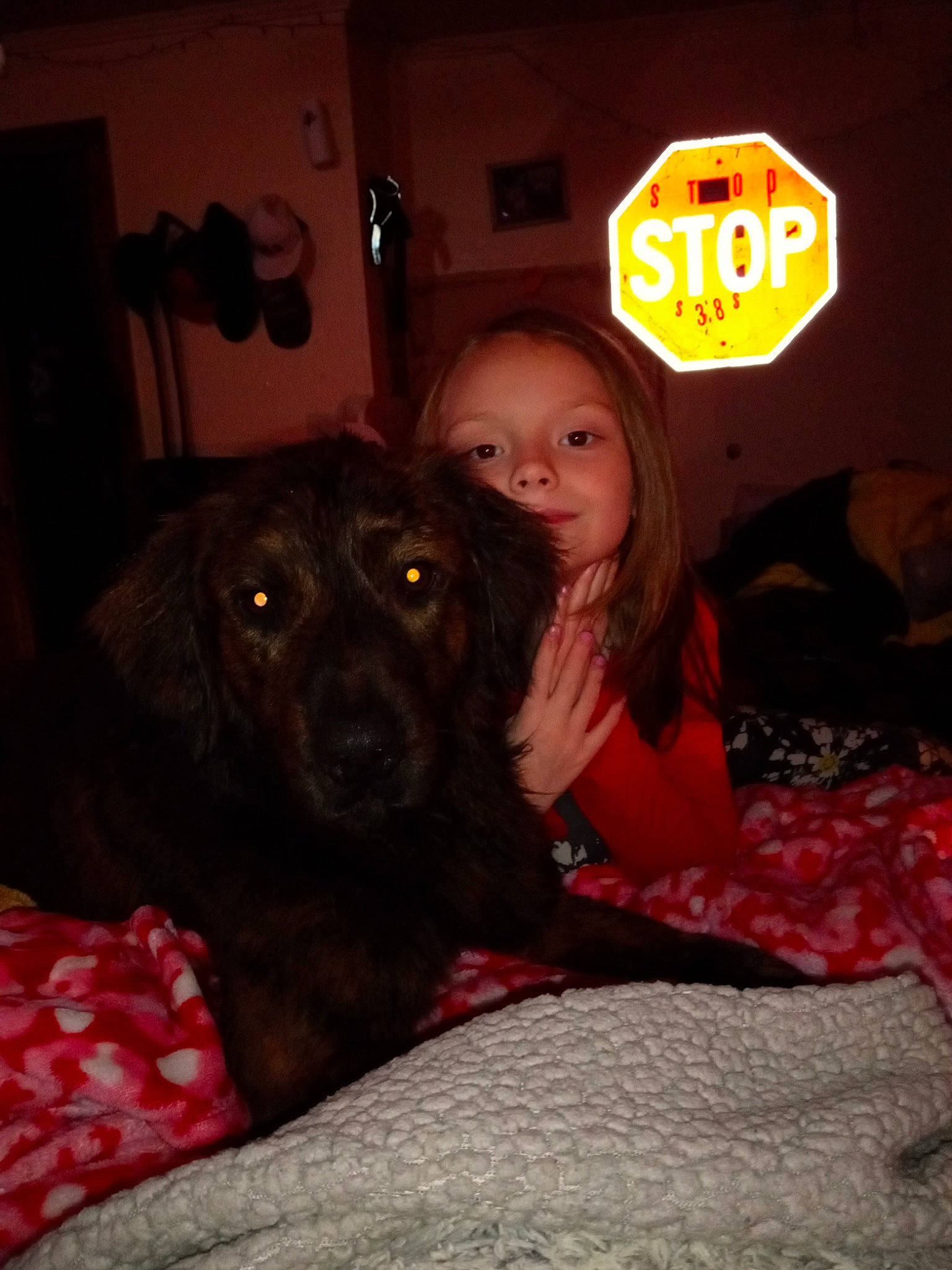 Kiley is registered to the contest to win money with this photo: canidae, carnivore, comfort, companion_dog, couch, dog, dog_breed, fawn, fur, guard_dog, happy, holiday, logo, person, picture_frame, room, sitting, sporting_group, t_shirt, toddler