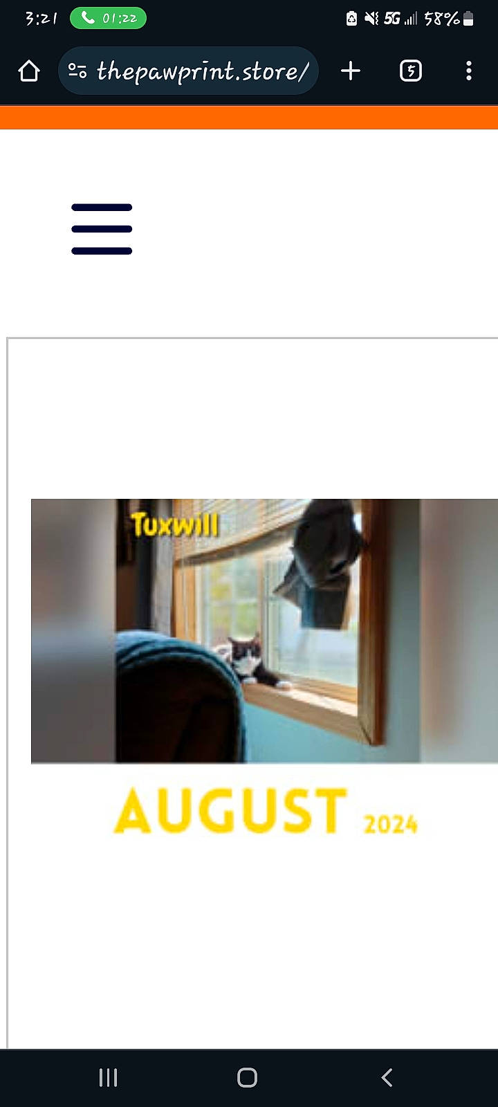 Tux is registered to the contest to win money with this photo: animal, baseballcap, cap, cat, clothing, computerhardware, cushion, electronics, file, hardware, homedecor, indoors, interiordesign, monitor, pet, phone, screen, text, webpage, window