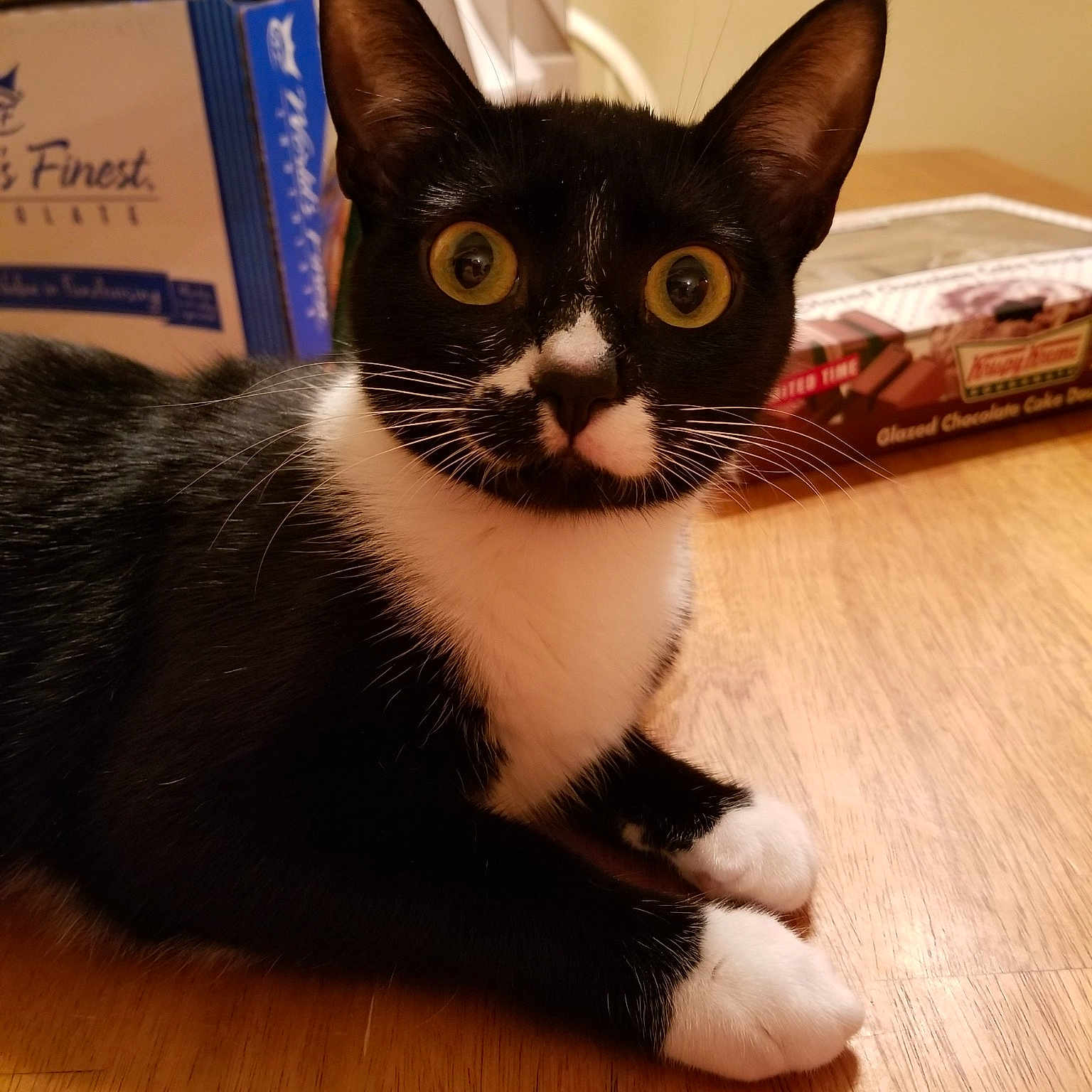 Pepper