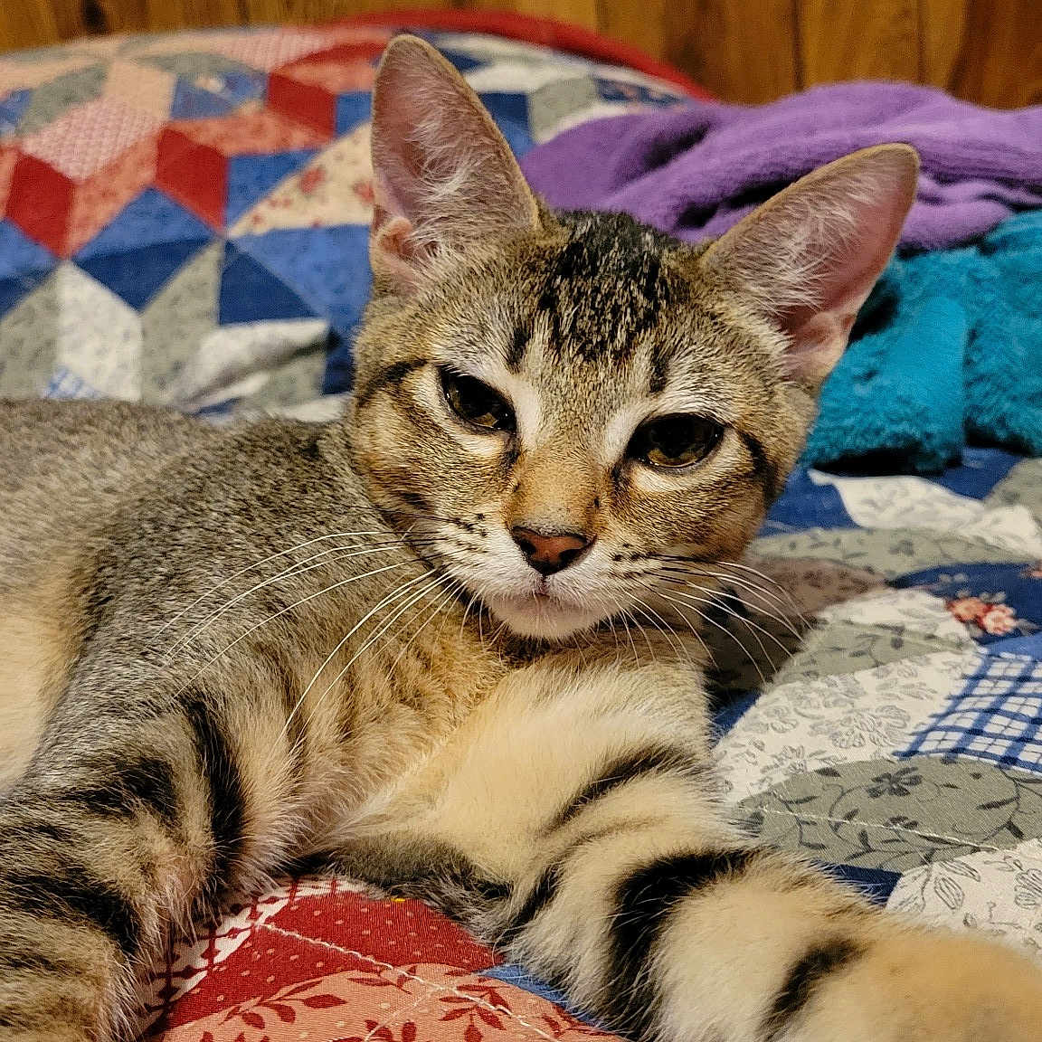 Smokie