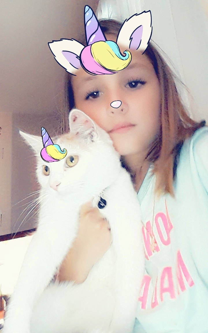 Kahinouche participe au concours pour gagner de l'argent avec cette photo : cat, ear, easter_bunny, felidae, fictional_character, long_hair, nose, person, skin, small_to_medium_sized_cats, whiskers