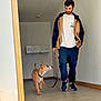 beard, brown_dog, casual_clothing, companion, dog, door_frame, floor, human_dog_interaction, indoor, jacket, leash, looking_up, mailboxes, man, pet, short_hair, sneakers, tiles, walking, wall