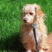 Fifi a rejoint le concours — aidez-le/la à gagner de superbes lots !