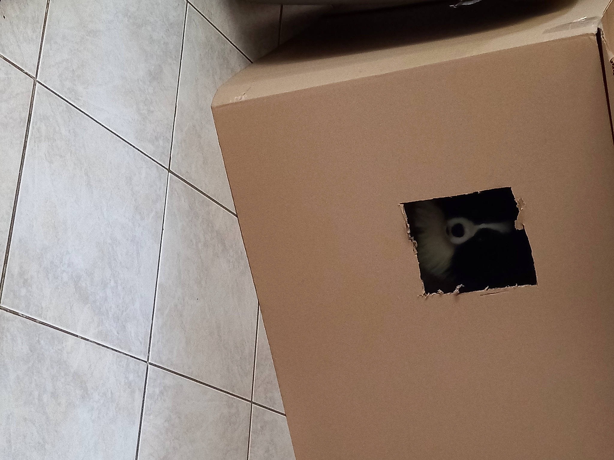 Marlo participe au concours pour gagner de l'argent avec cette photo : cardboard, circle, composite_material, concrete, facade, flooring, font, grey, hardwood, house, material_property, pattern, plywood, rectangle, tile, tile_flooring, tints_and_shades, tree, wall, wood