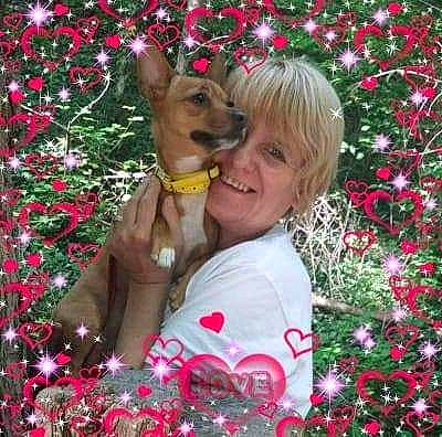 Naya a rejoint le concours — aidez-le/la à gagner de superbes lots ! carnivore, christmas, christmas_decoration, christmas_eve, christmas_ornament, companion_dog, dog, dog_breed, dog_supply, event, fawn, fun, grass, happy, holiday, holiday_ornament, people_in_nature, pink, plant, smile