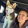 blue_eyes, braces, car_interior, casual, collar, daylight, dog, friendship, girl, happy, husky, indoors, long_hair, pet, portrait, seat, smiling, tongue_out, window, young_person