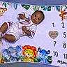 baby, infant, child, milestone_blanket, jungle_animals, giraffe, elephant, lion, rhino, monkey, four_months, wooden_heart, striped_outfit, socks, lying_down, cute, colorful, soft_blanket, smiling, portrait