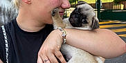 Aiko participe au concours pour gagner de l'argent avec cette photo : woman, puppy, dog, pug, pet, outdoor, smile, affection, bracelet, ring, black_shirt, chain_strap, cute, face, holding, playing, greenery, building, daylight, happy