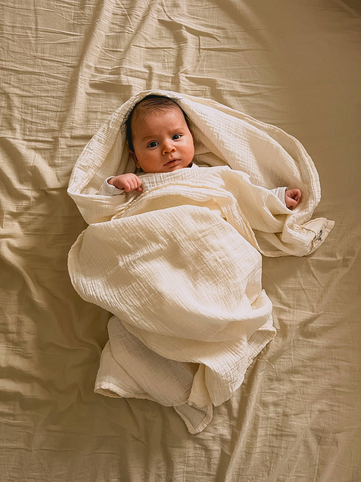 Izaac a rejoint le concours — aidez-le/la à gagner de superbes lots ! baby, baby_products, bedding, blanket, child, comfort, flash_photography, fur, linens, person, portrait_photography, room, sitting, sleeve, toddler
