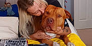 Bently joined the competition — help win amazing prizes! art_supplies, bed, blanket, carpet, casual, clothing, dog, door, face, hand, hugging, indoor, light, nuzzling, person, relaxed, resting, sketchbook, tattoo, yellow