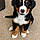 Bruno