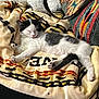 animal, black_and_white, blanket, cat, comfortable, couch, cozy, cute, domestic, fur, furniture, home, indoor, kitten, laying_down, pet, relaxed, resting, sleeping, soft