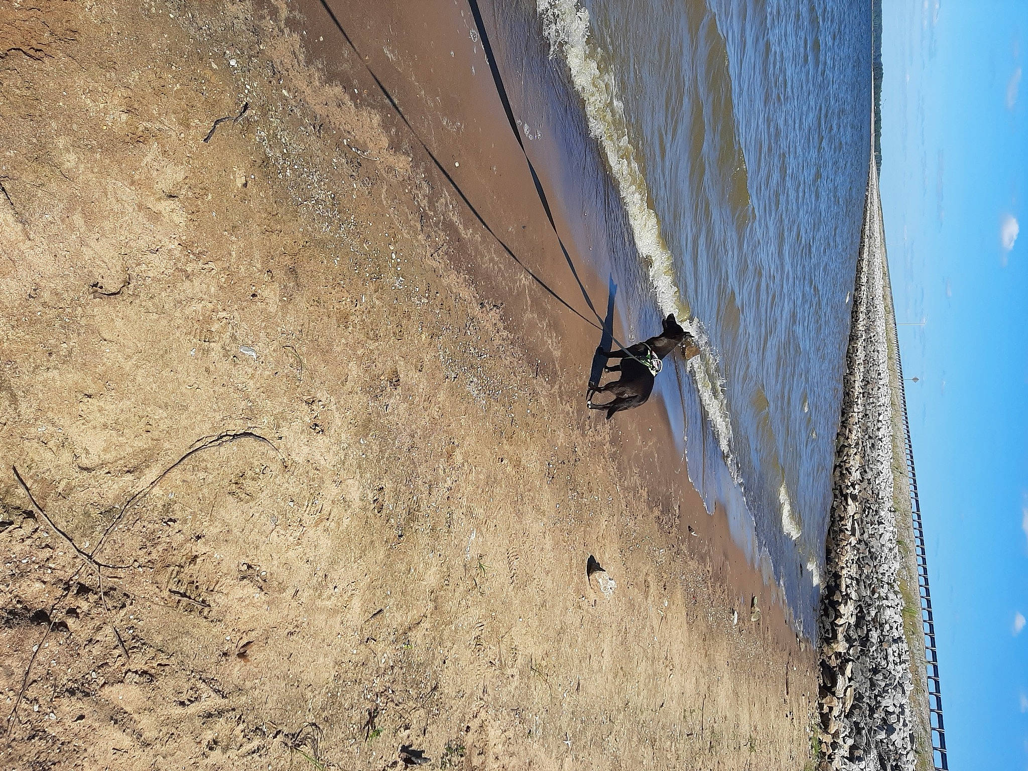 Josey joined the competition — help win amazing prizes! adventure, beach, cliff, coast, concrete, extreme_sport, formation, landscape, ocean, recreation, rock, sand, shadow, sky, slope, soil, sport_climbing, water, wind_wave, wood