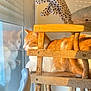 cat, orange_cat, window, reflection, wooden_shelf, plush_toy, sunlight, indoor, resting, feline, pet, cozy, gazing, warm_light, home_interior, animal, relaxing, fur, daylight, quiet