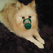 Joyau a rejoint le concours — aidez-le/la à gagner de superbes lots !