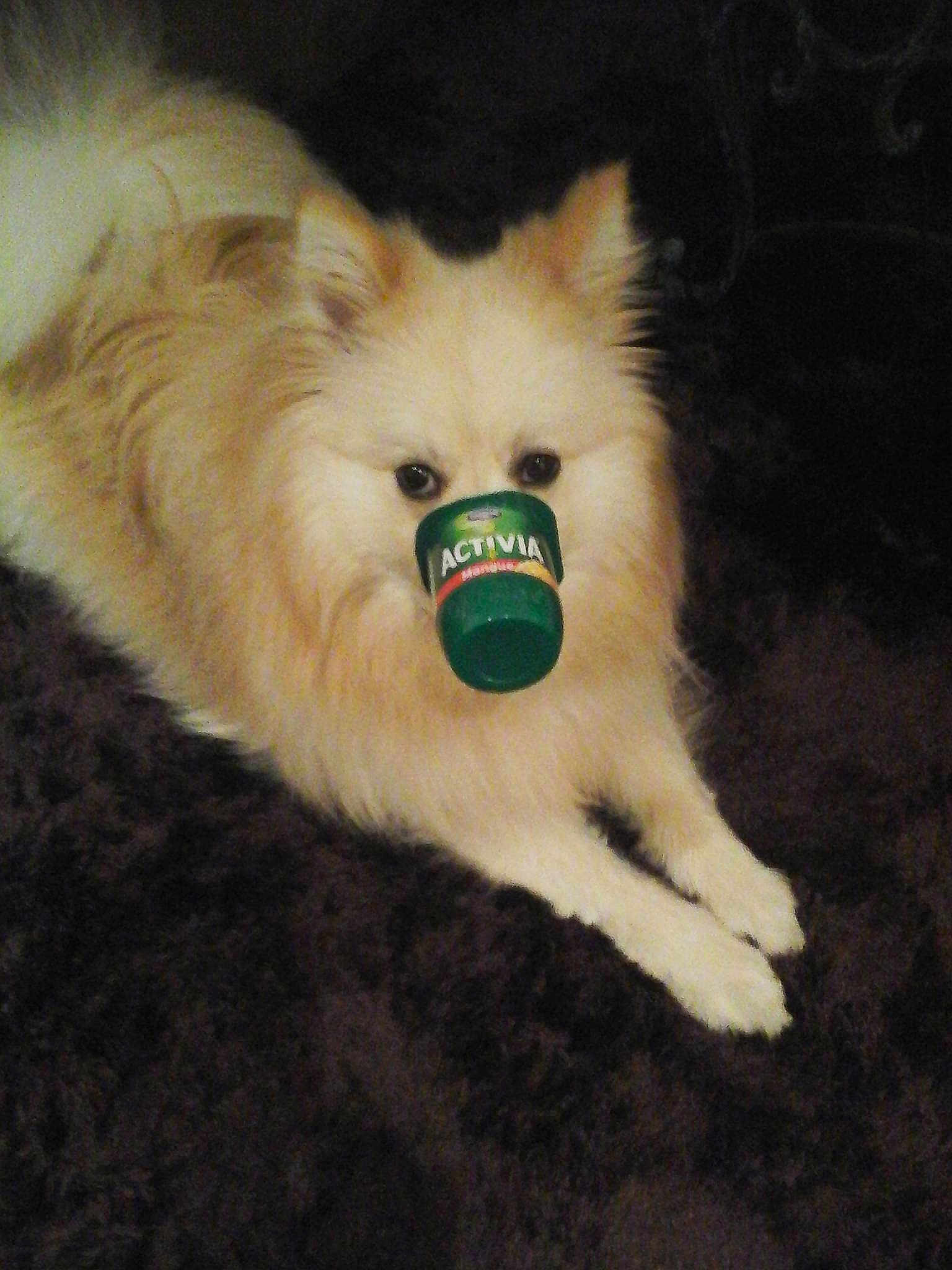 Joyau a rejoint le concours — aidez-le/la à gagner de superbes lots !