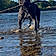 Tayson