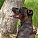 Tayson