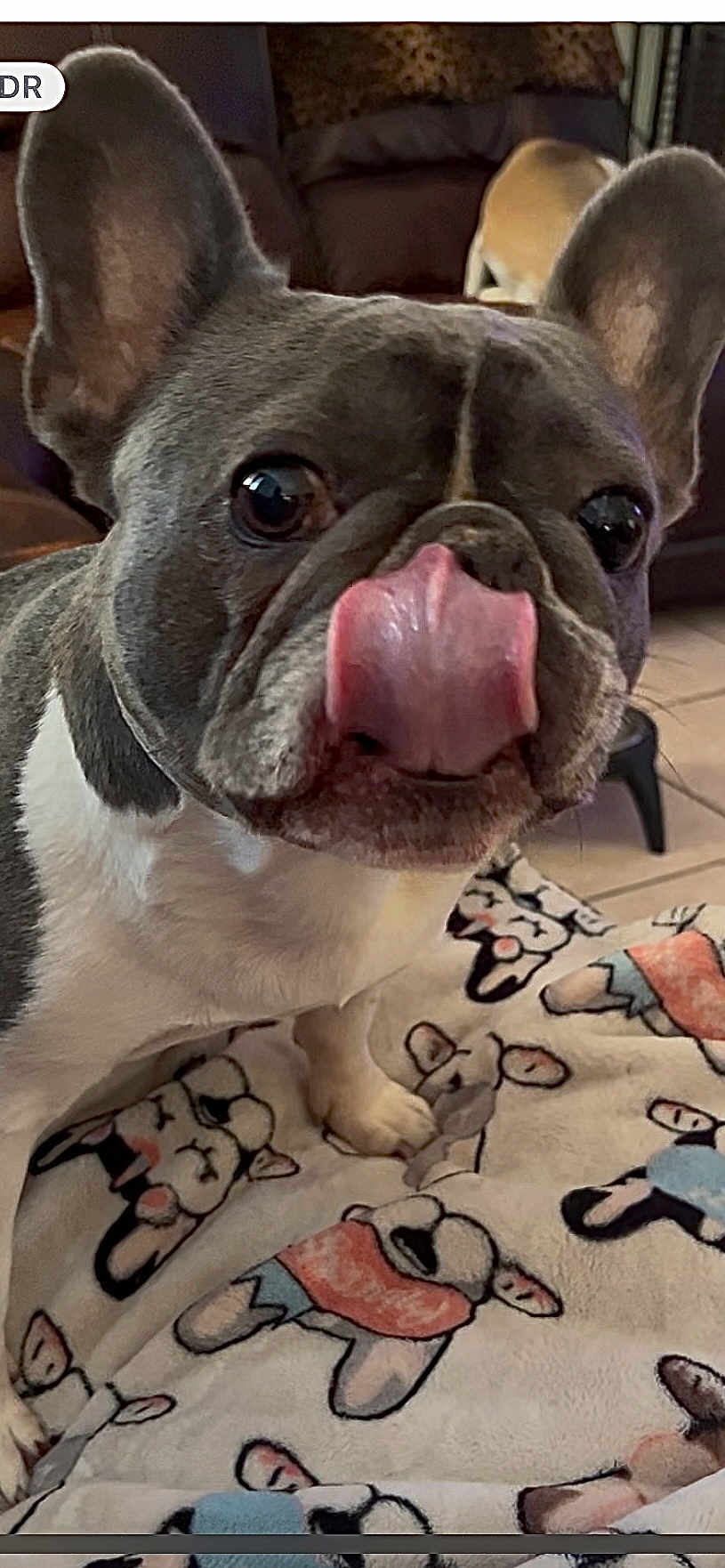 Violet